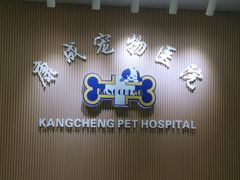 -康成宠物医院24H·CT·核磁共振