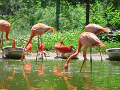 -石家庄市动物园