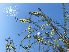 -仙海旅游度假区