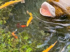 -水磨沟公园