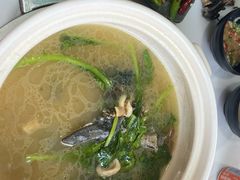 -蘑统田下·野生菌火锅