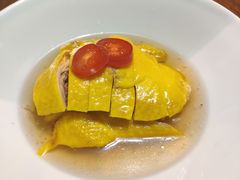 -乔家栅(襄阳南路店)