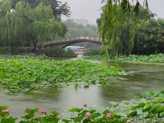 -皇家御河游(紫御湾码头)