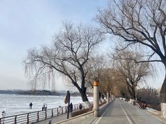 -长春市南湖公园