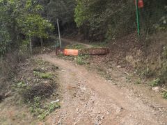 -南宁良凤江国家森林公园