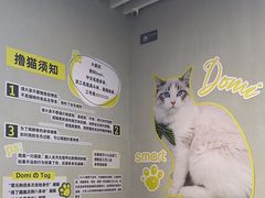 -上海浦东smart汽车全功能店(金桥店)