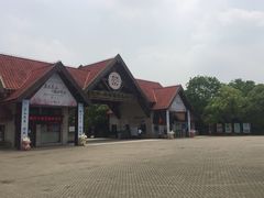 -上海海湾国家森林公园