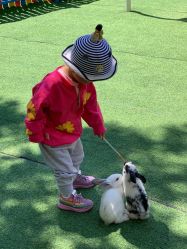 -萌宠亲子动物乐园(槐房万达店)