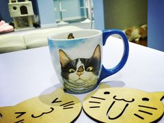 喵的天空-喵的天空名猫咖啡馆·撸猫·猫舍·用品