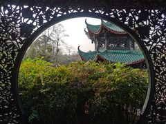 -桂湖森林公园