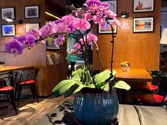 -JINNS锦时 steak&pizza(浸信会礼拜堂旧址店)