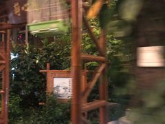 -南宫温泉水世界