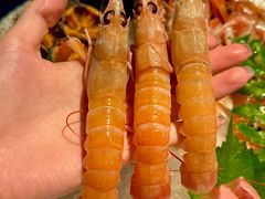 -Mr.Fish鱼鲜生海鲜放题(高德置地冬广场店)