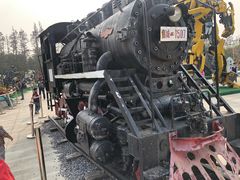 -上海长兴岛郊野公园