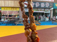 -安徽大青山野生动物世界