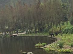 -重庆彩云湖湿地公园