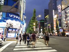 -秋叶原电器街
