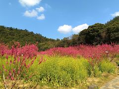 -广州市石门国家森林公园