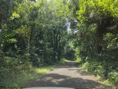 -海南热带野生动植物园