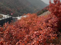 -狼牙山风景区