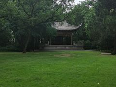 -汇龙潭