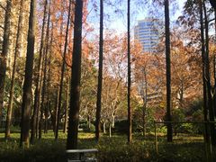 -徐家汇源景区-衡山公园