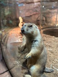 -Zoolung Zoolung动物主题公园(海信广场店)