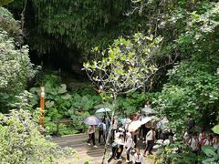 -海口火山口国家地质公园