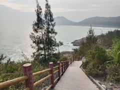 -广东惠东海龟国家级自然保护区