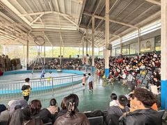 -泉州海丝野生动物世界