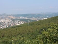 -原山国家森林公园