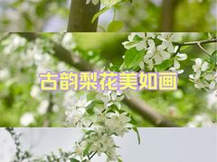-无锡梅园公园