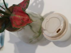 -Legno.ita Coffee by Wood(襄阳南路店)