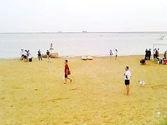-碧海金沙