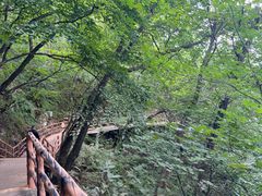 -丹东凤凰山景区