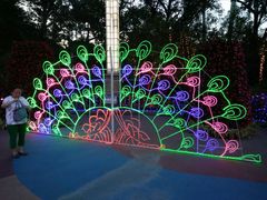 -哈尔滨文化公园