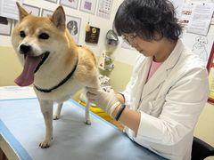 -美联众合动物医院·24h转诊中心