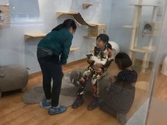 -猫冇咖·家门口的撸猫馆(大融城店)