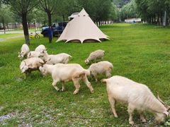 -十渡东湖港风景区