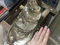 特大蒸生蚝-蚝专家(北滘店)