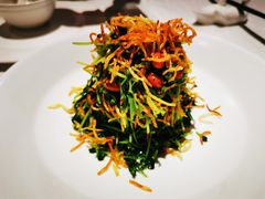 巧拌豆苗-四季民福烤鸭店(王府井灯市口店)