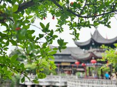 -天台山赤城山景区