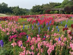 -保利石象湖景区