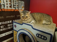 -H立方实景剧情密室(天河旗舰店)