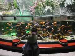 -太平洋海底世界