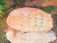 -八大关景区