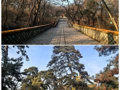 -沈阳市东陵公园