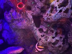 -沈阳海洋探索中心