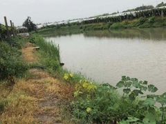 -马陆小张葡萄园农家乐