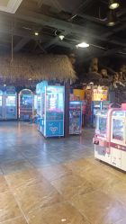 点击看大图 -卡通尼·Safari非洲探索乐园·生日会(金桥国际商业广场店)